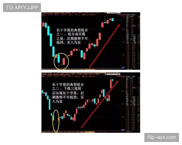 瑞安门线技术与扑救成功率分析